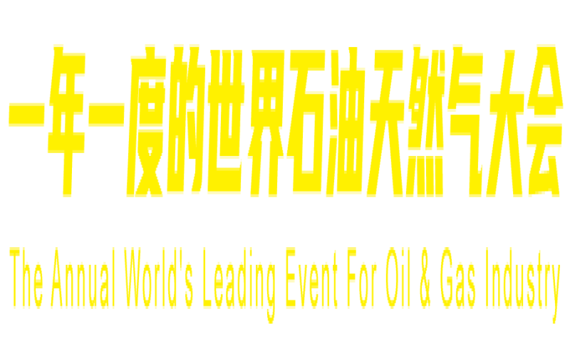 2024cippe第十六届中国国际海洋石油天然气展览会暨第十六届中国（上海）国际石油化工技术装备展览会（上海石化展 cippe）